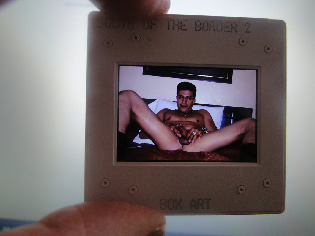 VINTAGE 35MM GAY MALE SLIDE BEEFCAKE MUSCLE NUDE FALCON STUDIOS R4s
