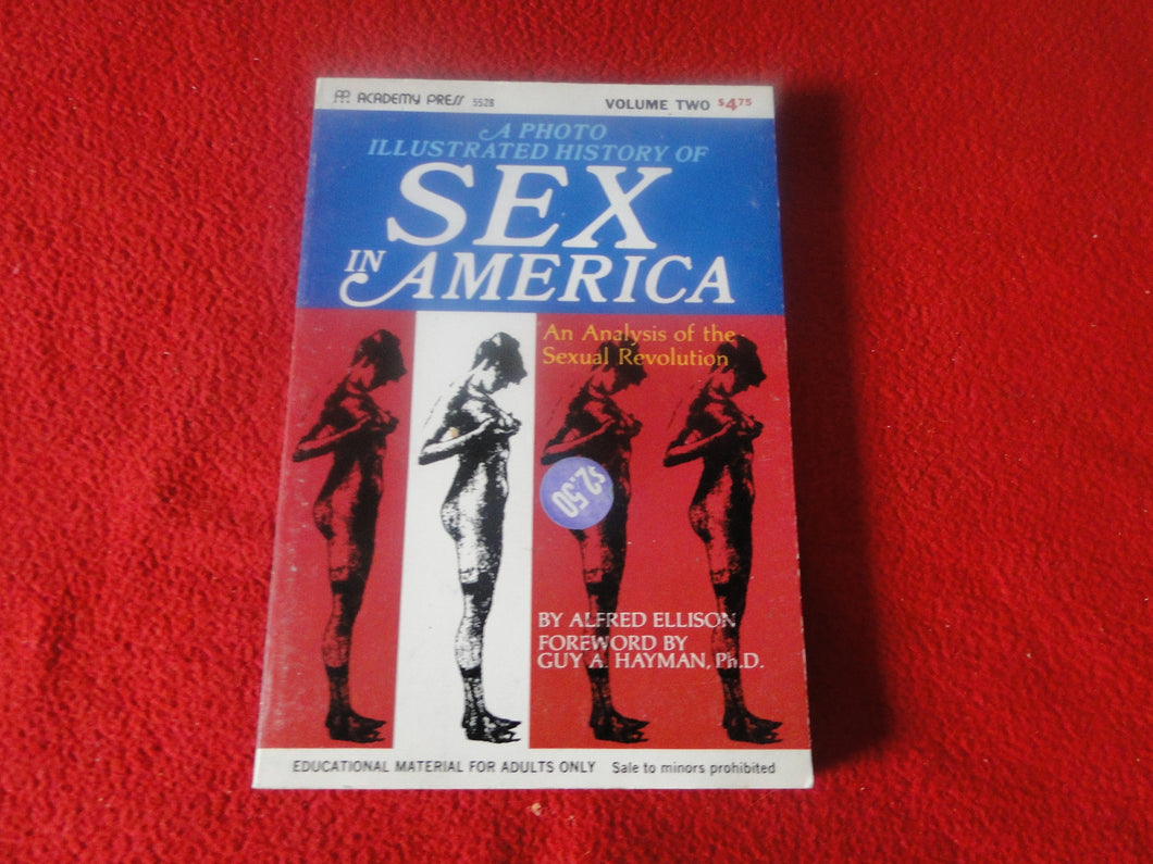 Vintage Adult Paperback Novel/Book Sex In America      Y