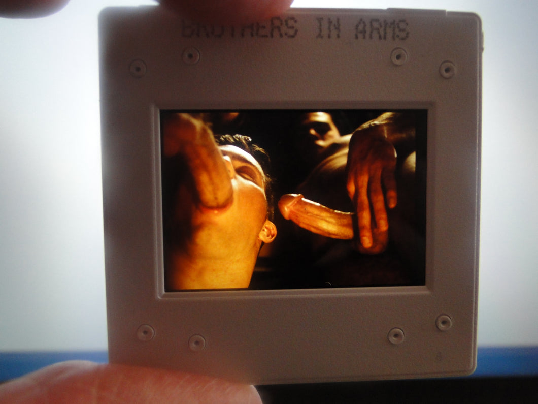 VINTAGE 35MM GAY MALE SLIDE BEEFCAKE MUSCLE NUDE FALCON STUDIOS R5n