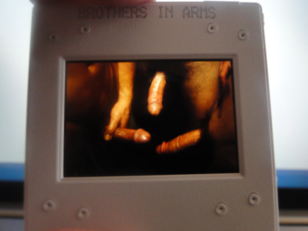 VINTAGE 35MM GAY MALE SLIDE BEEFCAKE MUSCLE NUDE FALCON STUDIOS R5p