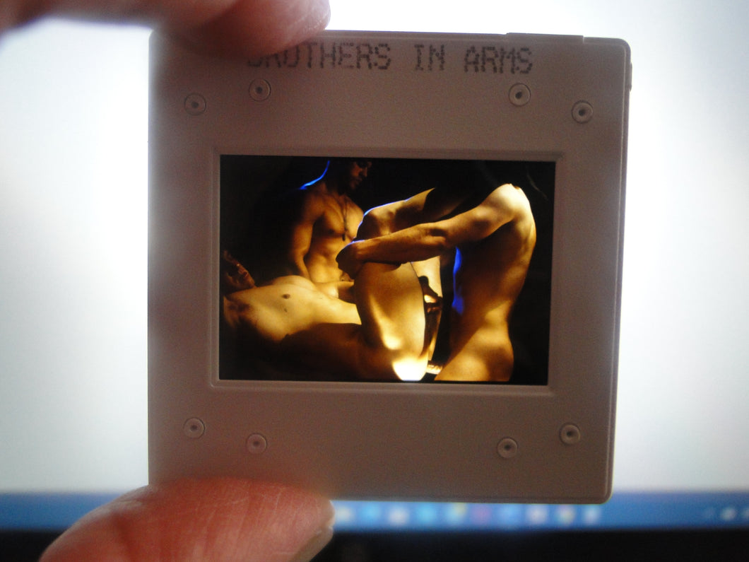 VINTAGE 35MM GAY MALE SLIDE BEEFCAKE MUSCLE NUDE FALCON STUDIOS R5v