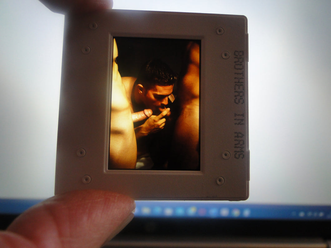 VINTAGE 35MM GAY MALE SLIDE BEEFCAKE MUSCLE NUDE FALCON STUDIOS R5#