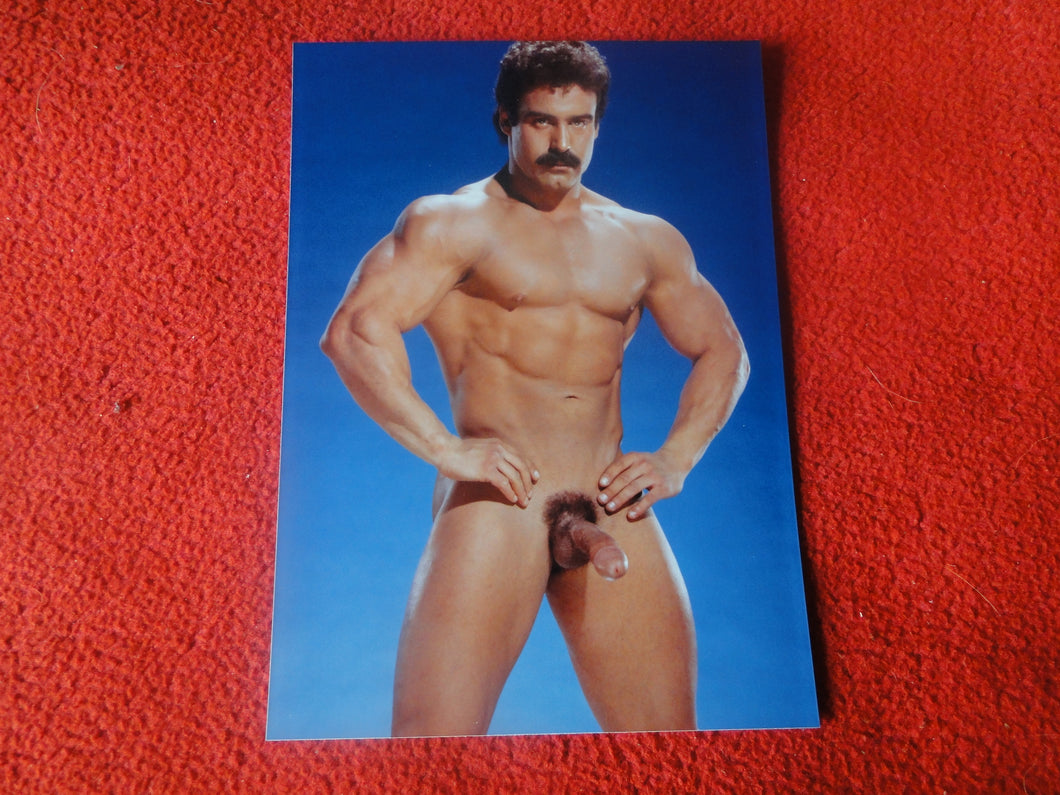 Vintage 18 Y.O. + Gay Interest Nude Hot Hung Muscular Male Colt Photo 5 x 7 H7c