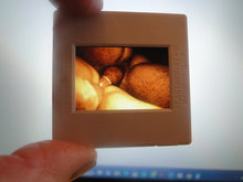 Load image into Gallery viewer, VINTAGE 35MM GAY MALE SLIDE BEEFCAKE MUSCLE NUDE FALCON STUDIOS R6m
