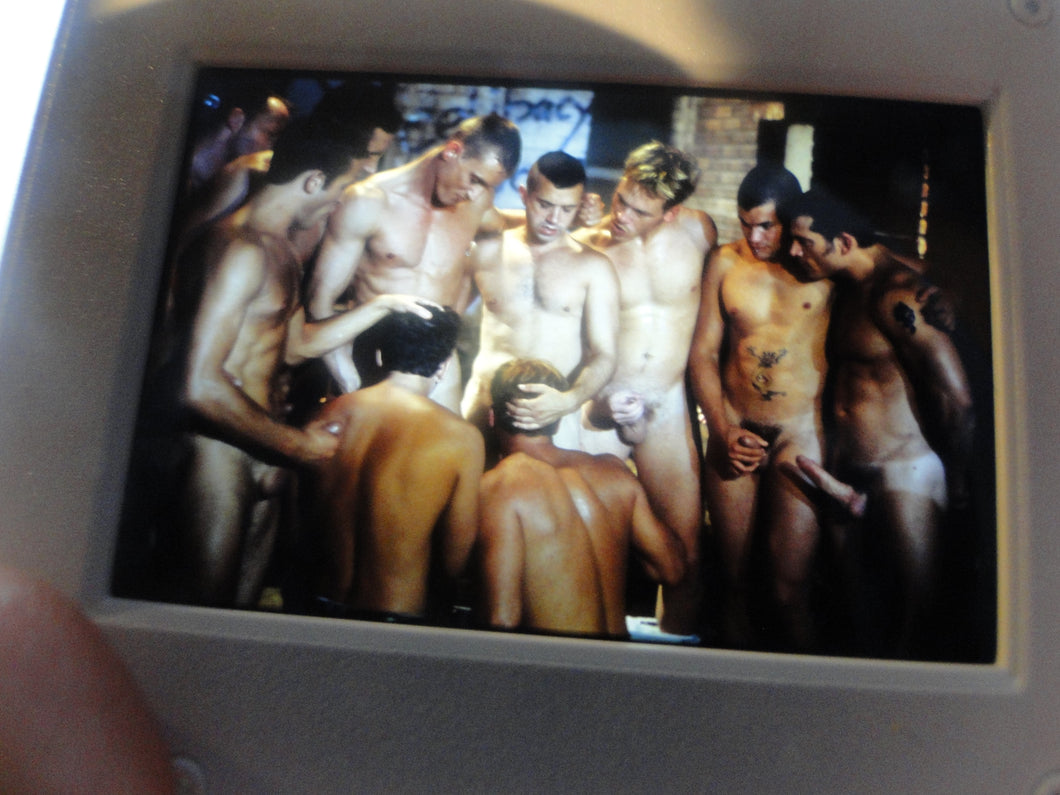 VINTAGE 35MM GAY MALE SLIDE BEEFCAKE MUSCLE NUDE FALCON STUDIOS JCg