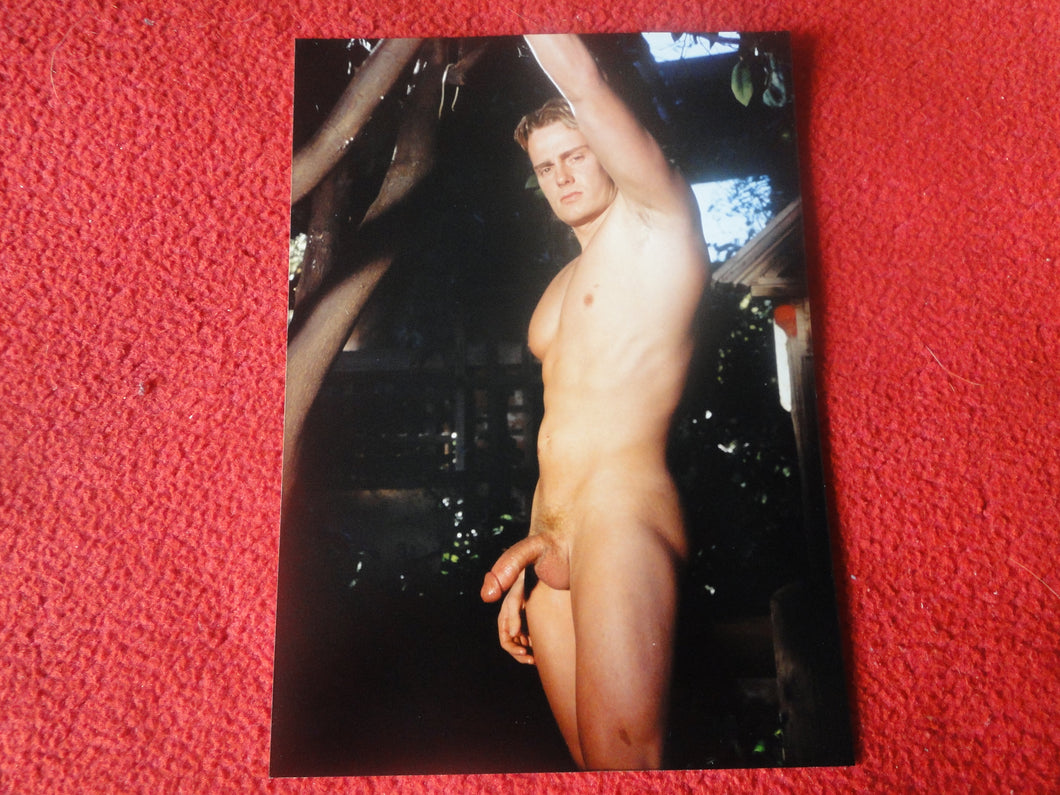 Vintage 18 Y.O. + Gay Interest Nude Hot Hung Muscular Male Colt/Fox Photo 5 x 7 H7m