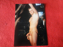 Load image into Gallery viewer, Vintage 18 Y.O. + Gay Interest Nude Hot Hung Muscular Male Colt/Fox Photo 5 x 7 H7m
