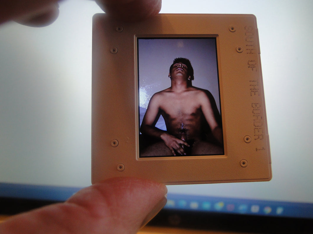 VINTAGE 35MM GAY MALE SLIDE BEEFCAKE MUSCLE NUDE FALCON STUDIOS R6>