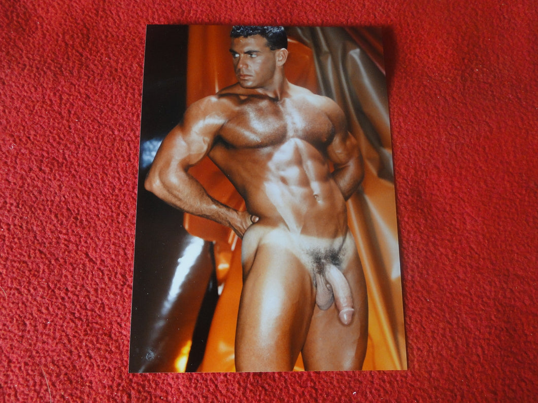 Vintage 18 Y.O + Gay Interest Colt Studios Nude Hot Hung Male Photo        H26g