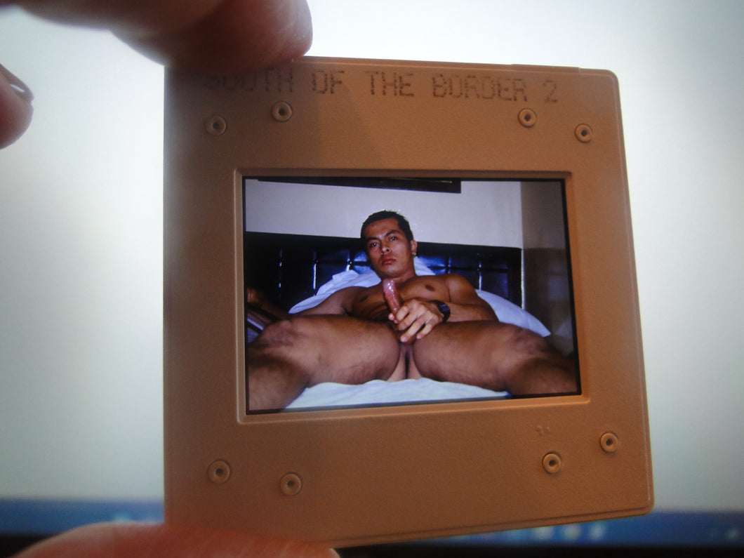 VINTAGE 35MM GAY MALE SLIDE BEEFCAKE MUSCLE NUDE FALCON STUDIOS R7f