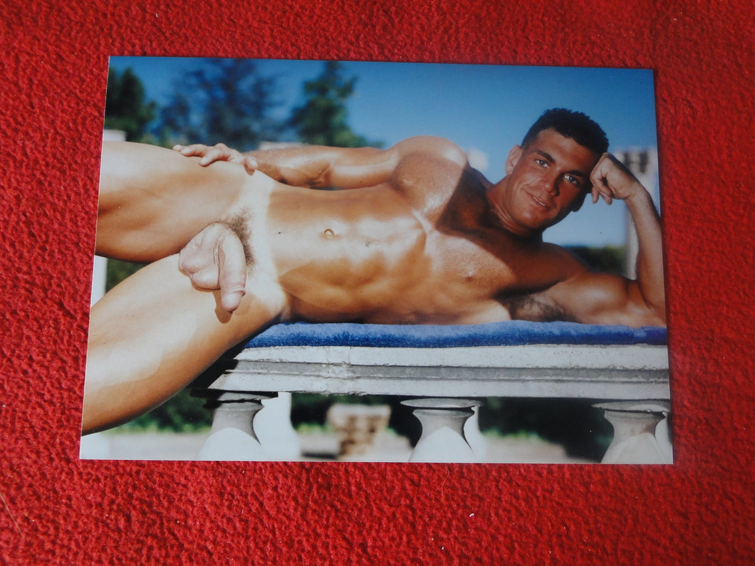 Vintage 18 Y.O + Gay Interest Colt Studios Nude Hot Hung Male Photo        H26j