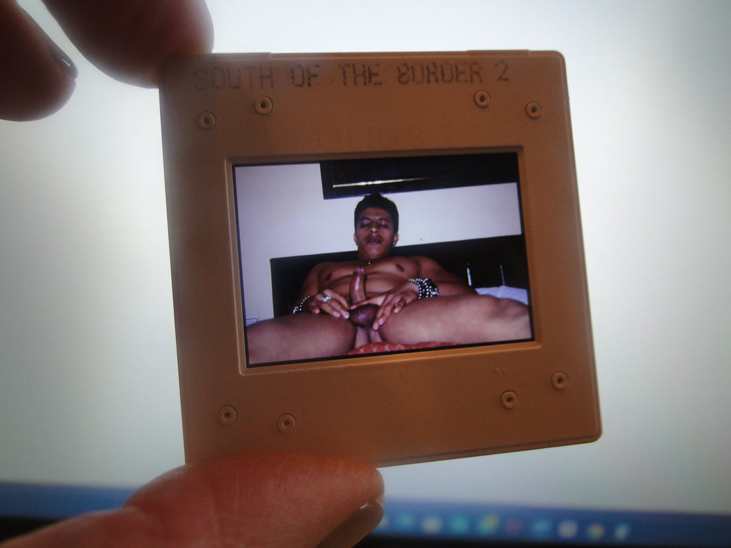 VINTAGE 35MM GAY MALE SLIDE BEEFCAKE MUSCLE NUDE FALCON STUDIOS R7j