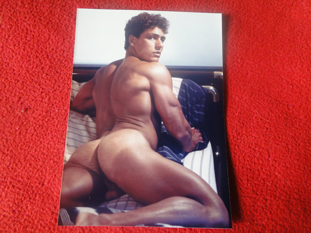 Vintage 18 Y.O. + Gay Interest Nude Hot Hung Muscular Male Colt/Fox Photo 5 x 7 H7)