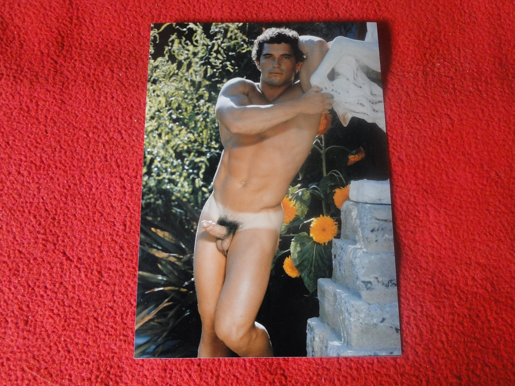 Vintage 18 Y.O + Gay Interest Colt Studios Nude Hot Hung Male Photo        H261