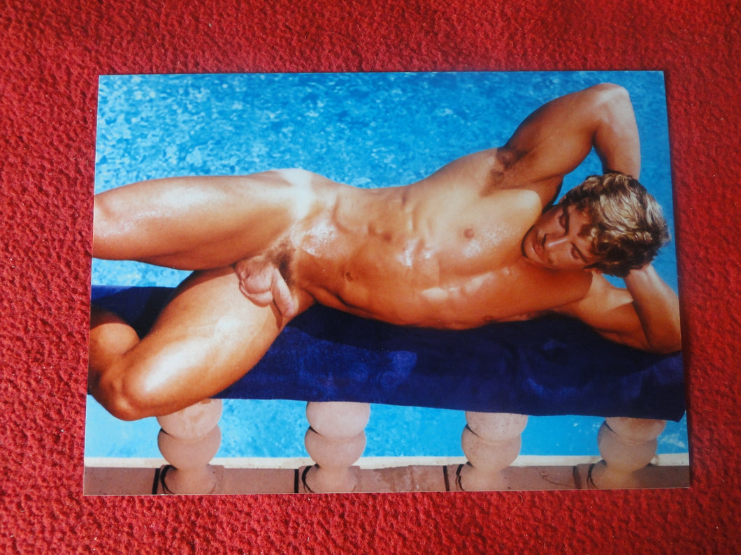 Vintage 18 Y.O + Gay Interest Colt Studios Nude Hot Hung Male Photo        H263