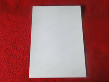 Load image into Gallery viewer, Vintage 18 Y.O + Gay Interest Colt Studios Nude Hot Hung Male Photo        H264
