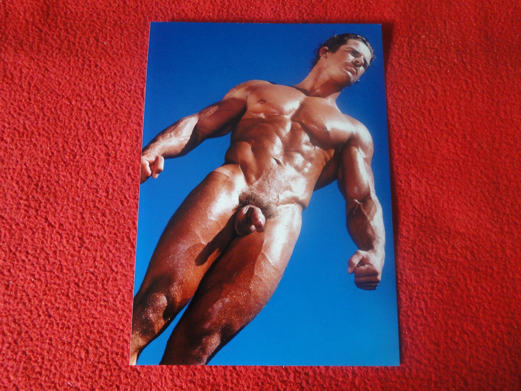 Vintage 18 Y.O + Gay Interest Colt Studios Nude Hot Hung Male Photo        H265