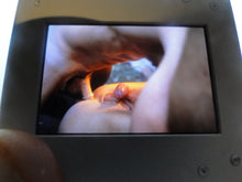 Load image into Gallery viewer, VINTAGE 35MM GAY MALE SLIDE BEEFCAKE MUSCLE NUDE FALCON STUDIOS G15h
