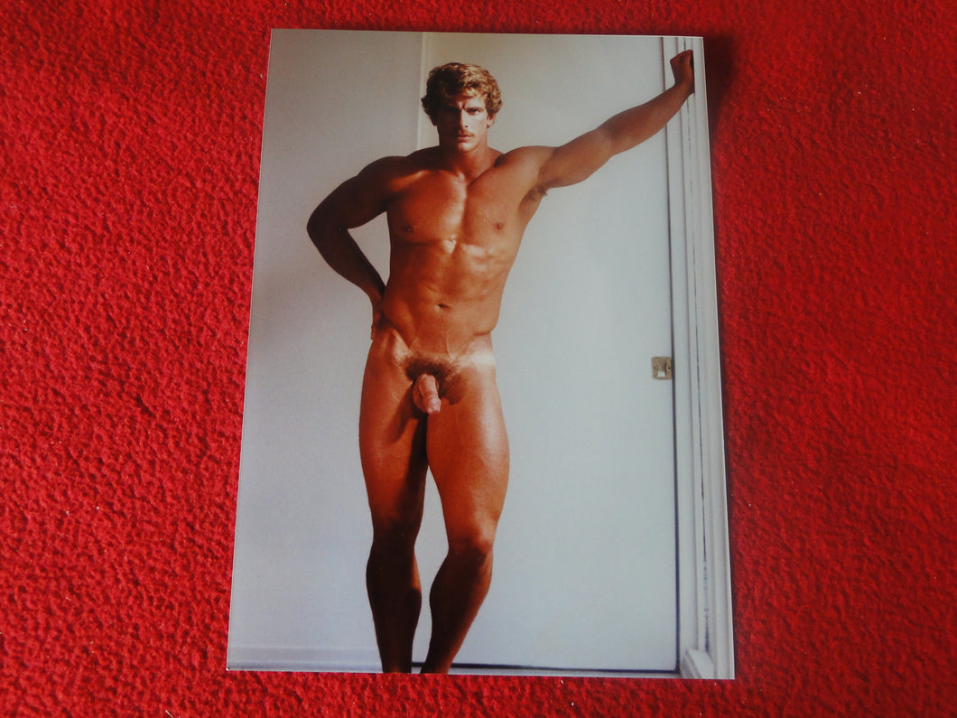 Vintage 18 Y.O + Gay Interest Colt Studios Nude Hot Hung Male Photo        H267