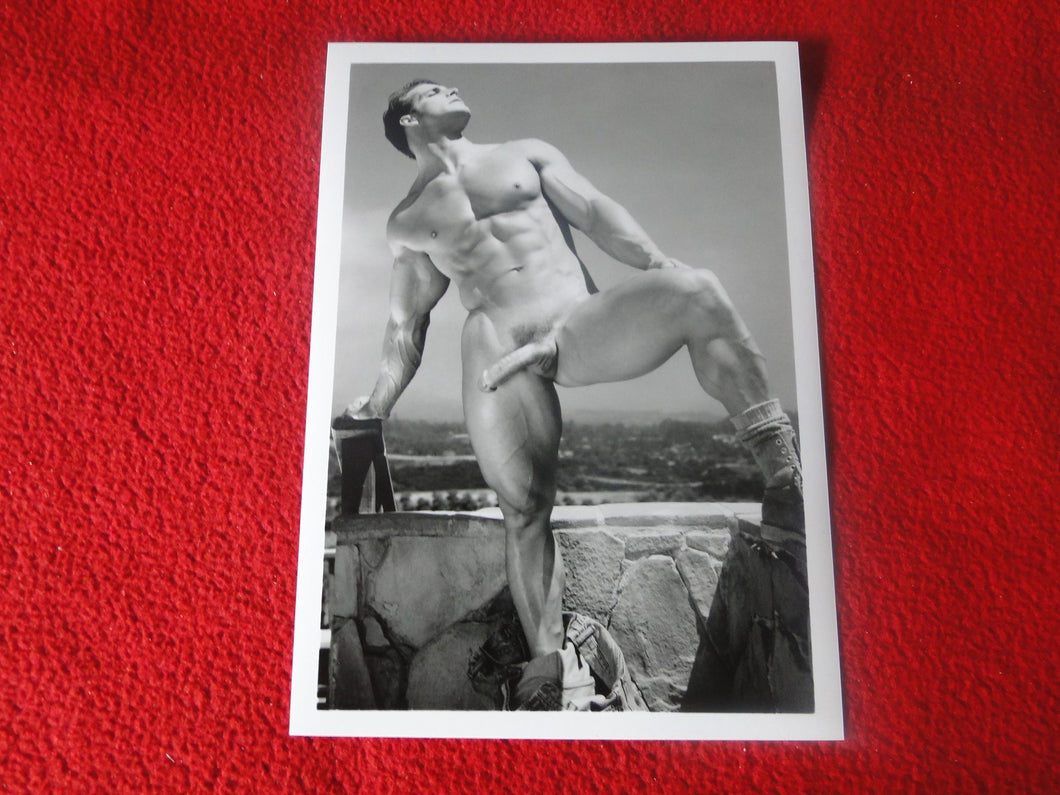 Vintage 18 Y.O + Gay Interest Colt Studios Nude Hot Hung Male Photo       H2618