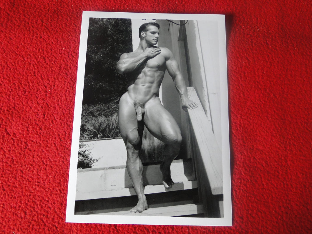 Vintage 18 Y.O + Gay Interest Colt Studios Nude Hot Hung Male Photo       H2620