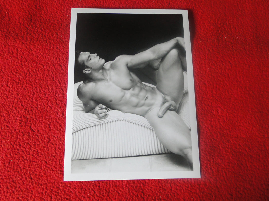 Vintage 18 Y.O + Gay Interest Colt Studios Nude Hot Hung Male Photo       H2622
