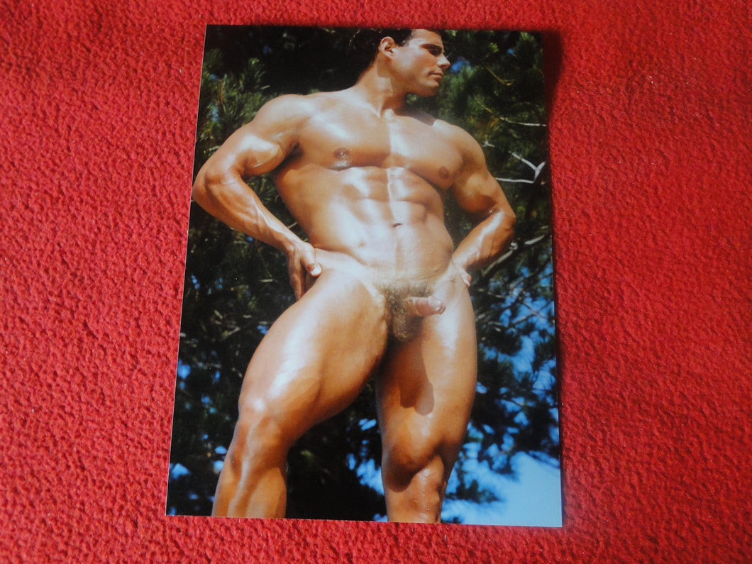Vintage 18 Y.O + Gay Interest Colt Studios Nude Hot Hung Male Photo       H2628