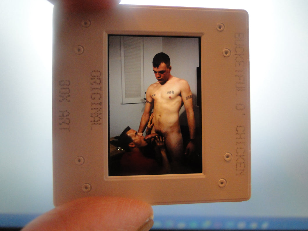 VINTAGE 35MM GAY MALE SLIDE BEEFCAKE MUSCLE NUDE FALCON STUDIOS R9h