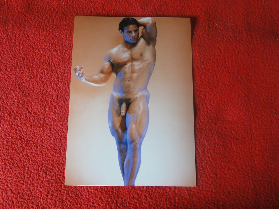 Vintage 18 Y.O + Gay Interest Colt Studios Nude Hot Hung Male Photo       H2629