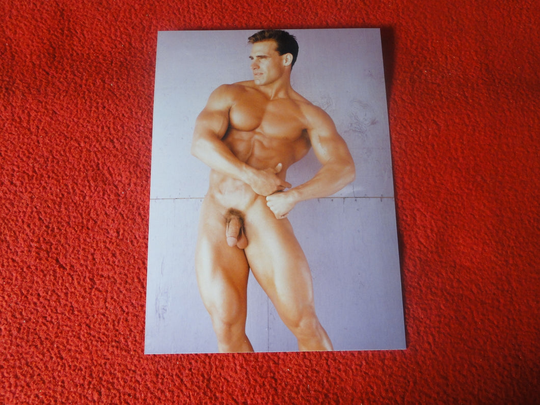 Vintage 18 Y.O + Gay Interest Colt Studios Nude Hot Hung Male Photo       H2632