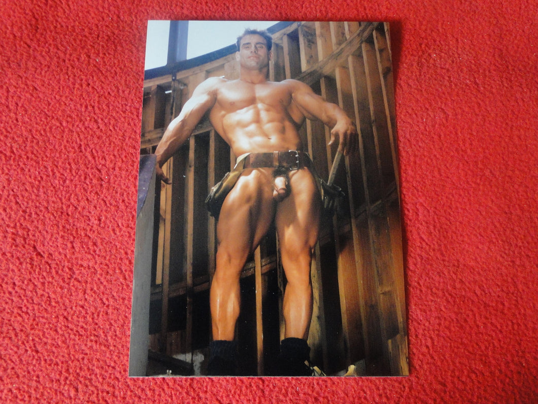 Vintage 18 Y.O + Gay Interest Colt Studios Nude Hot Hung Male Photo       H2633
