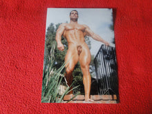 Load image into Gallery viewer, Vintage 18 Y.O + Gay Interest Colt Studios Nude Hot Hung Male Photo       H2634
