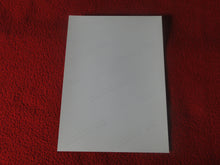 Load image into Gallery viewer, Vintage 18 Y.O + Gay Interest Colt Studios Nude Hot Hung Male Photo       H2634
