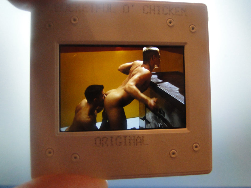VINTAGE 35MM GAY MALE SLIDE BEEFCAKE MUSCLE NUDE FALCON STUDIOS R9x