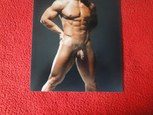 Load image into Gallery viewer, Vintage 18 Y.O + Gay Interest Colt Studios Nude Hot Hung Male Photo       H2639
