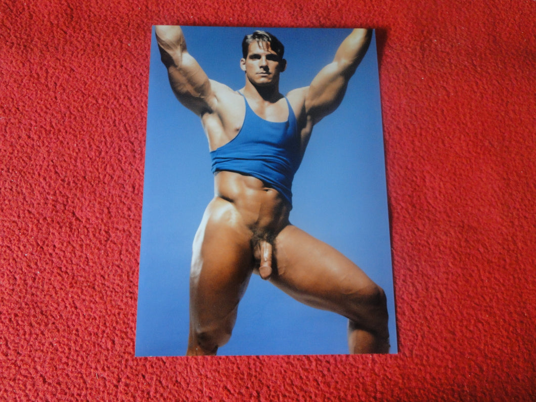 Vintage 18 Y.O + Gay Interest Colt Studios Nude Hot Hung Male Photo       H2642
