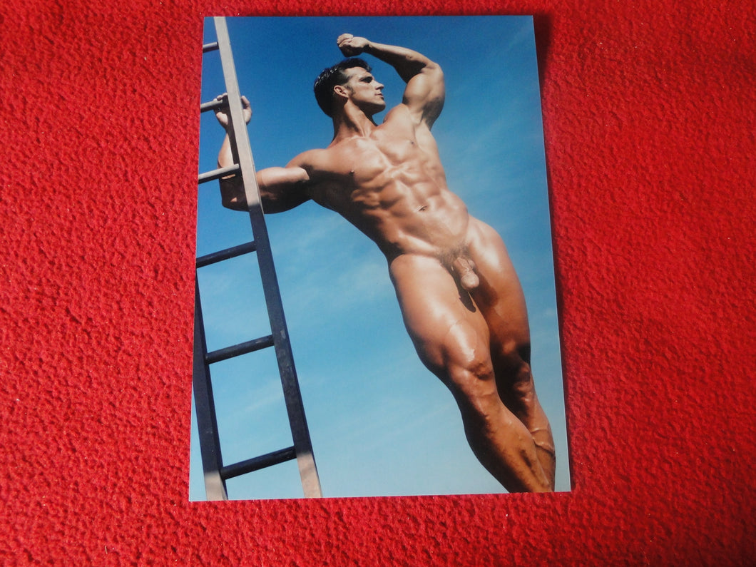 Vintage 18 Y.O + Gay Interest Colt Studios Nude Hot Hung Male Photo       H2644