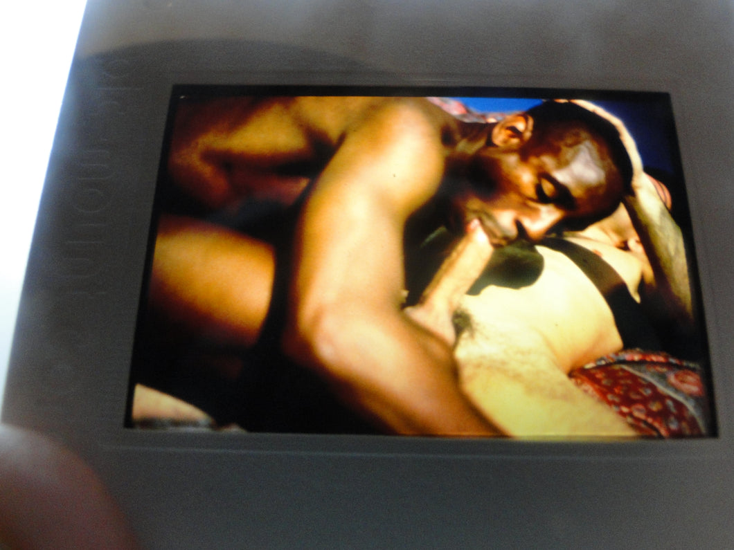 VINTAGE 35MM GAY MALE SLIDE BEEFCAKE MUSCLE NUDE FALCON STUDIOS G7i