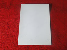 Load image into Gallery viewer, Vintage 18 Y.O + Gay Interest Colt Studios Nude Hot Hung Male Photo       H2646
