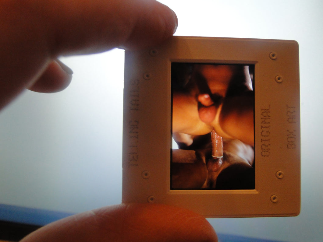 Copy of VINTAGE 35MM GAY MALE SLIDE BEEFCAKE MUSCLE NUDE FALCON STUDIOS R10h