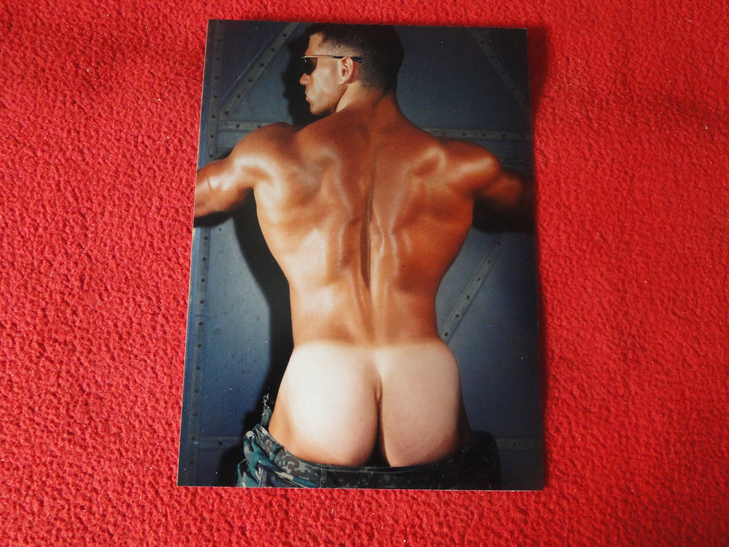 Vintage 18 Y.O + Gay Interest Colt Studios Nude Hot Hung Male Photo       H2649