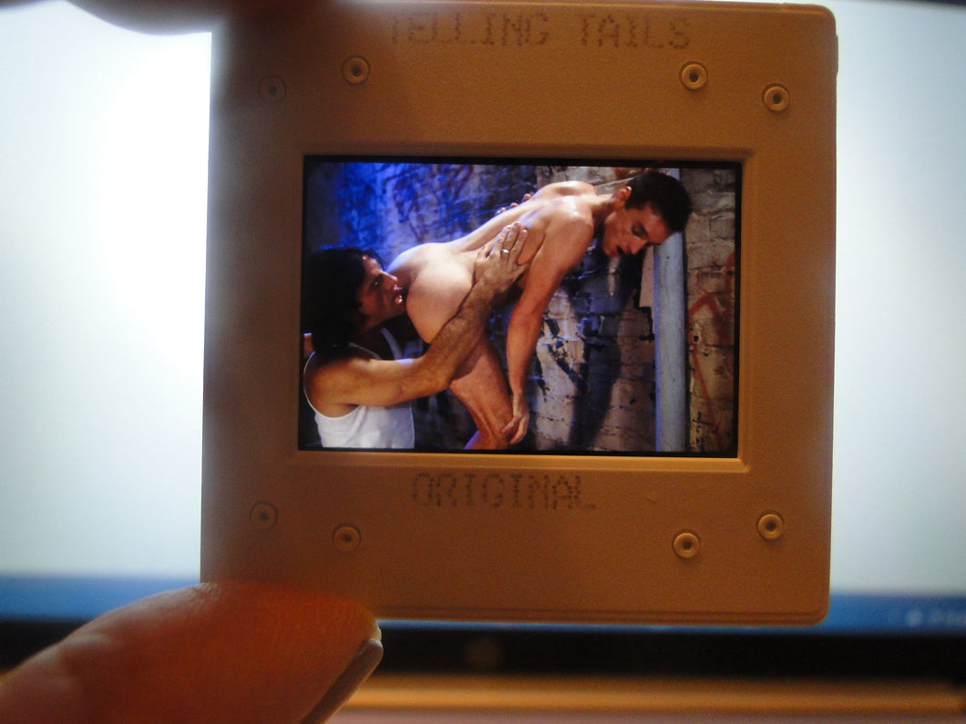 VINTAGE 35MM GAY MALE SLIDE BEEFCAKE MUSCLE NUDE FALCON STUDIOS R10o