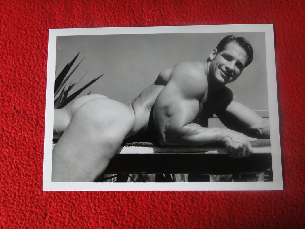 Vintage 18 Y.O + Gay Interest Colt Studios Nude Hot Hung Male Photo       H2656