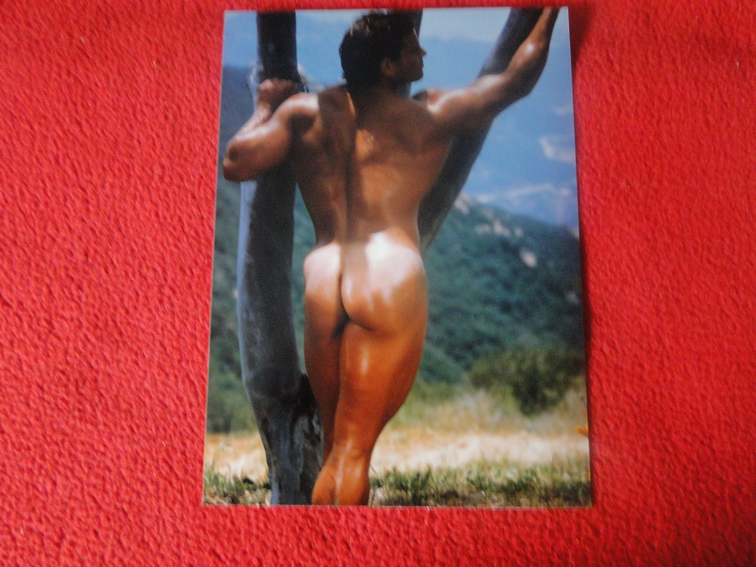 Vintage 18 Y.O + Gay Interest Colt Studios Nude Hot Hung Male Photo       H2657