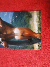 Load image into Gallery viewer, Vintage 18 Y.O + Gay Interest Colt Studios Nude Hot Hung Male Photo       H2657

