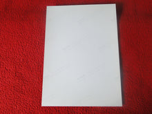 Load image into Gallery viewer, Vintage 18 Y.O + Gay Interest Colt Studios Nude Hot Hung Male Photo       H2658
