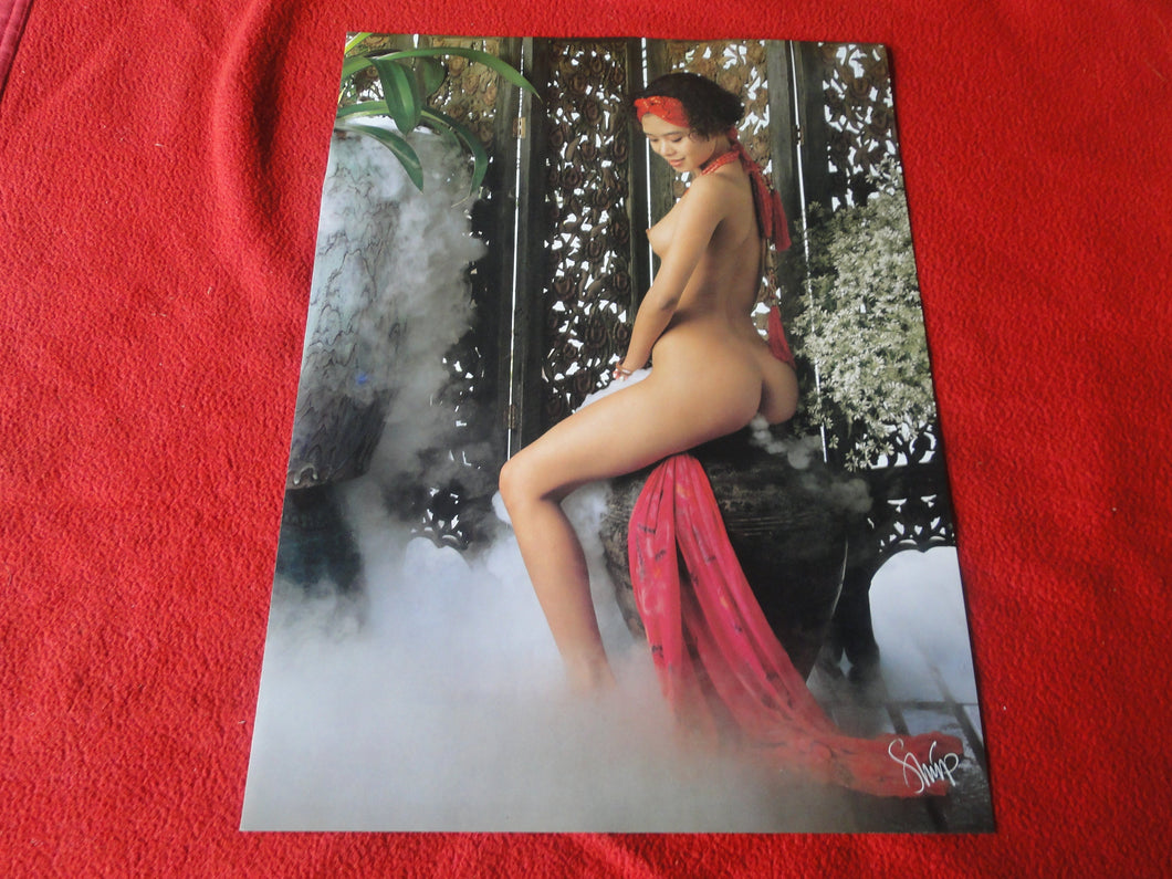 Vintage Nude Erotic Sexy Young Woman Poster 16 x 12         P11n