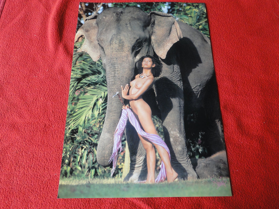 Vintage Nude Erotic Sexy Young Woman Poster 16 x 12         P11v