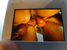 Load image into Gallery viewer, VINTAGE 35MM GAY MALE SLIDE BEEFCAKE MUSCLE NUDE FALCON STUDIOS B11u
