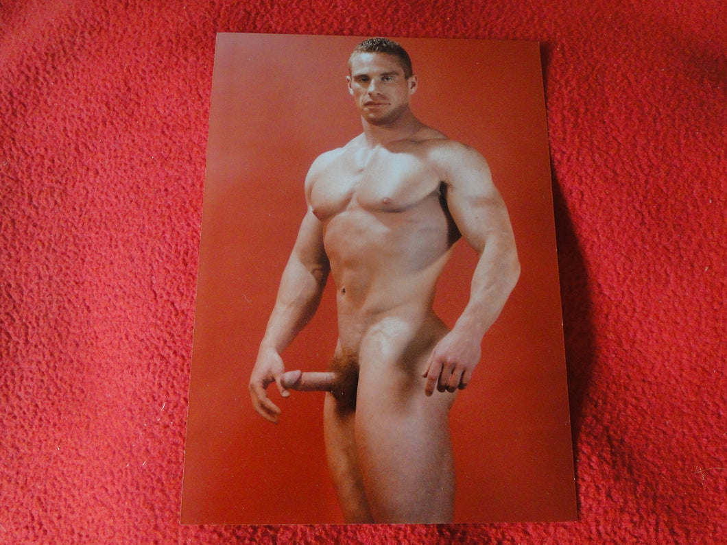Vintage 18 Y.O + Gay Interest Colt/Fox Studios Nude Hot Hung Male Photo        D20i